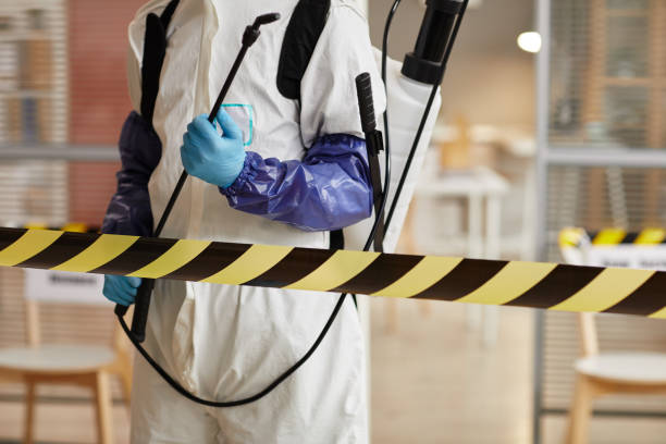 Professional Hoarding Cleanup technician working in Seville, FL